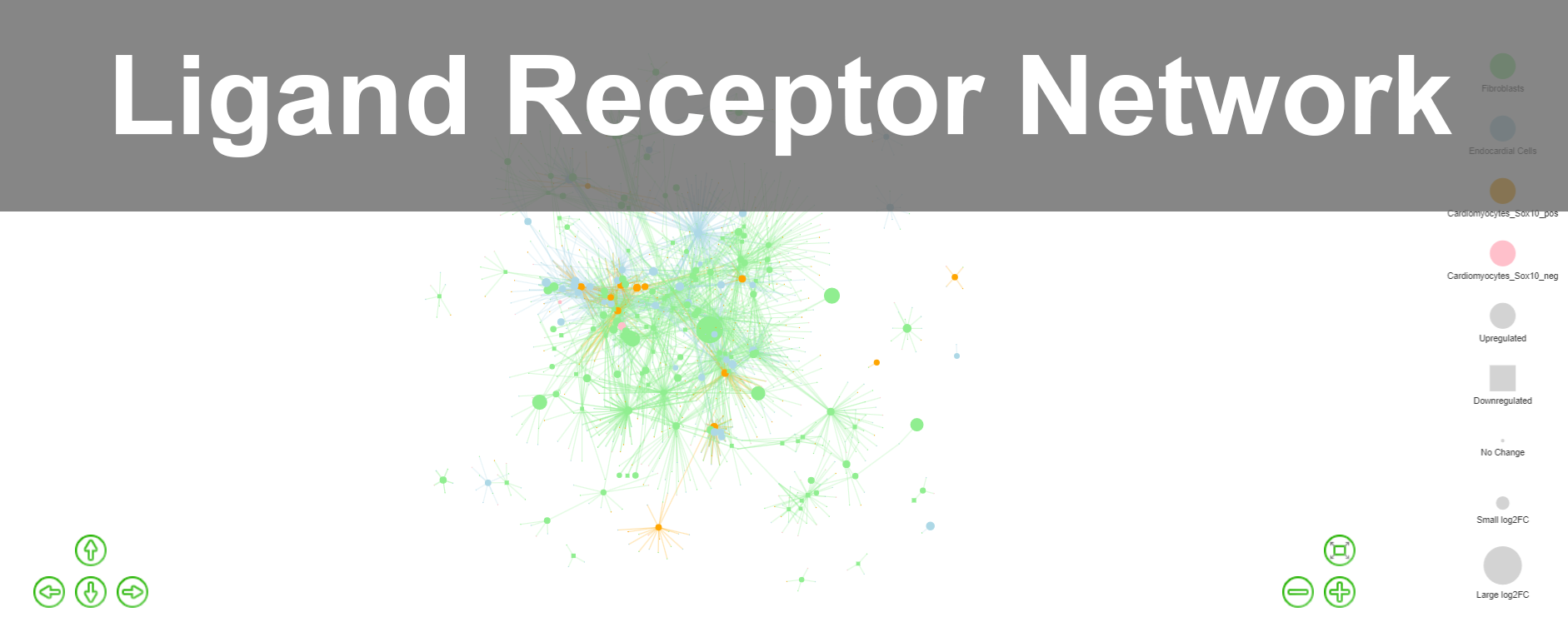 Ligand Receptor network visualization app
