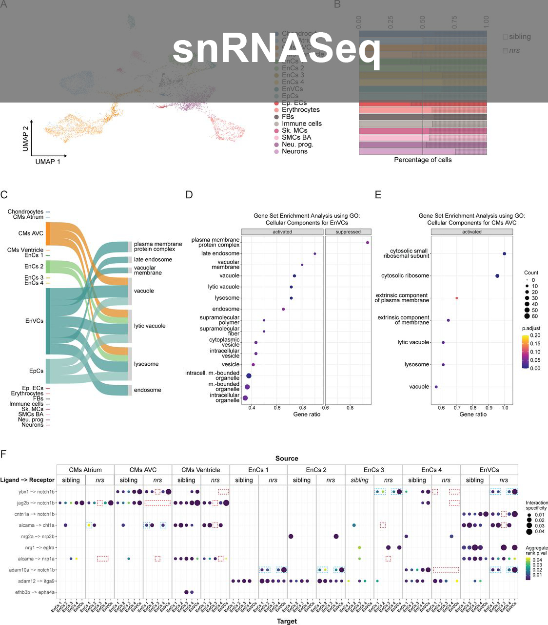 Graphs from single-cell RNAseq project
